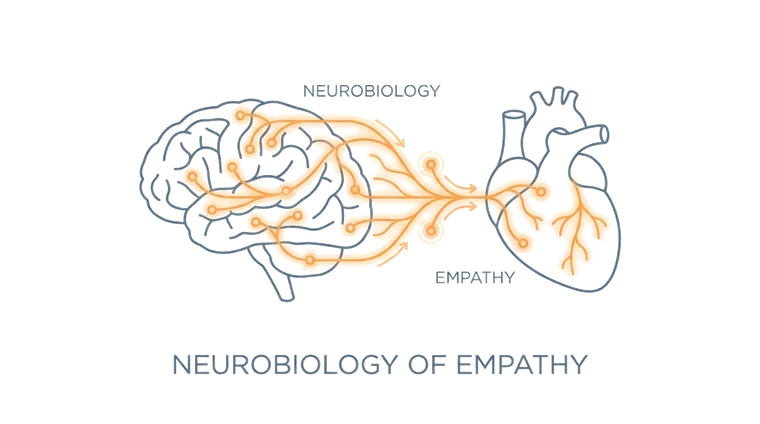 Neurobiology of Empathy